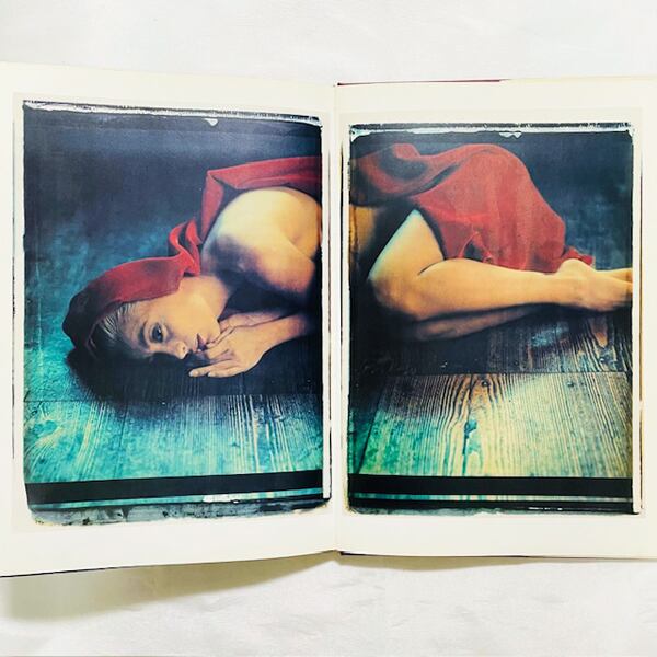 ヴェルナー・パウロック写真集「Werner Pawlok: Photography Paintings」