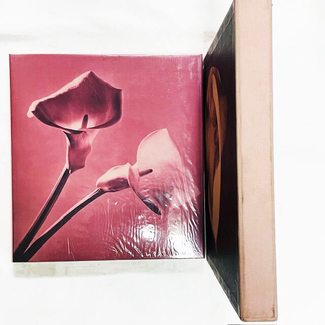 ロバート・メイプルソープ写真集「Robert Mapplethorpe: Pistils」