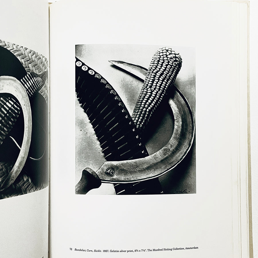 Tina Modotti: Photographs / ティナ・モドッティ写真集 / Sarah M. Lowe