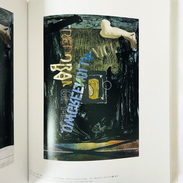 ジャスパー・ジョーンズ版画展【図録】