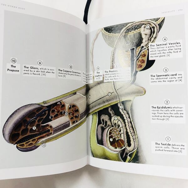 【ｼｭﾘﾝｸ未開封新本】「Fritz Kahn: Infographics Pioneer」ﾌﾘｯﾂ･ｶｰﾝ:ｲﾝﾌｫｸﾞﾗﾌｨｯｸ