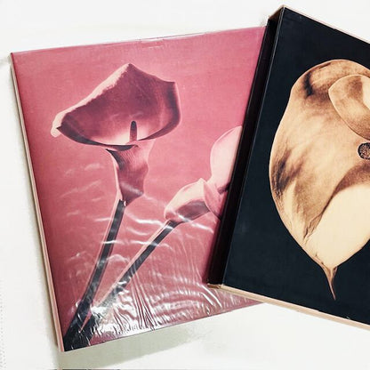 ロバート・メイプルソープ写真集「Robert Mapplethorpe: Pistils」