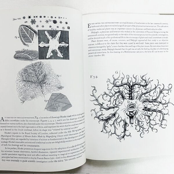 The Scientific Image: From Cave to Computer