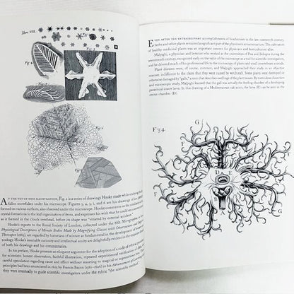 The Scientific Image: From Cave to Computer