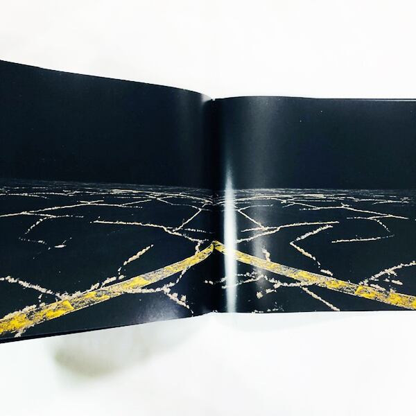エドガー・マーティンス写真集「edgar martins: when light casts no shadow」