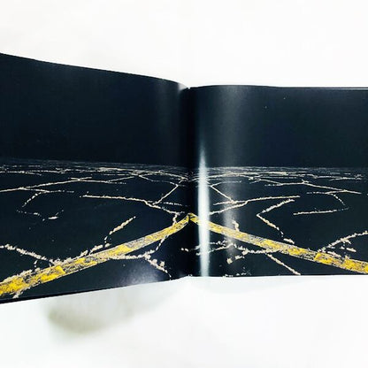 エドガー・マーティンス写真集「edgar martins: when light casts no shadow」