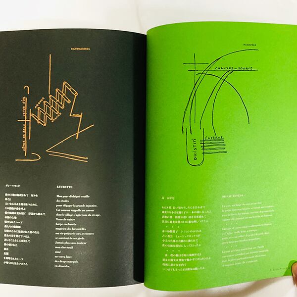 ピカビア展【図録】＋雑誌「391」縮刷版 / フランシス・ピカビア / 1999