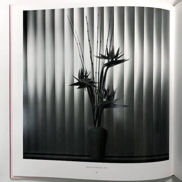ロバート・メイプルソープ写真集「Robert Mapplethorpe: Pistils」