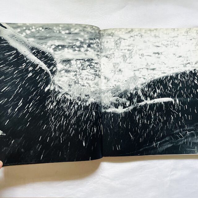 リュシアン・クレルグ写真集「Lucien Clergue: Née de la vague」/ 波から生まれ