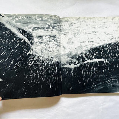 リュシアン・クレルグ写真集「Lucien Clergue: Née de la vague」/ 波から生まれ