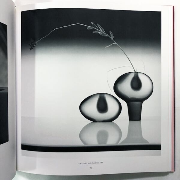 ロバート・メイプルソープ写真集「Robert Mapplethorpe: Pistils」