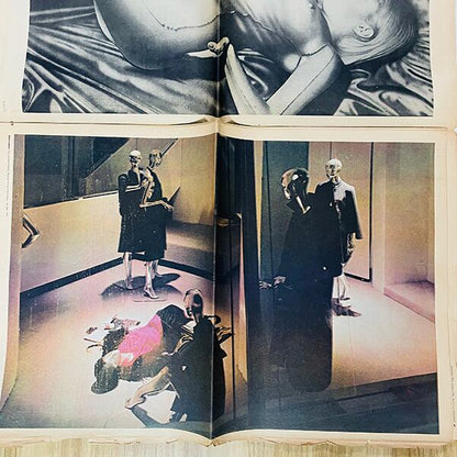 The Picture NEWSPAPER / Vol. 4 # 3 / 1975 Dec~1976 Jan