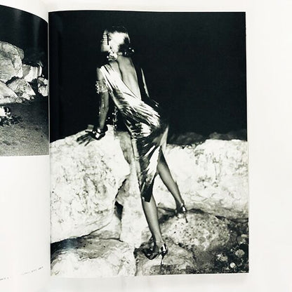 ヘルムート・ニュートン写真集「Helmut Newton: Works」日本語版