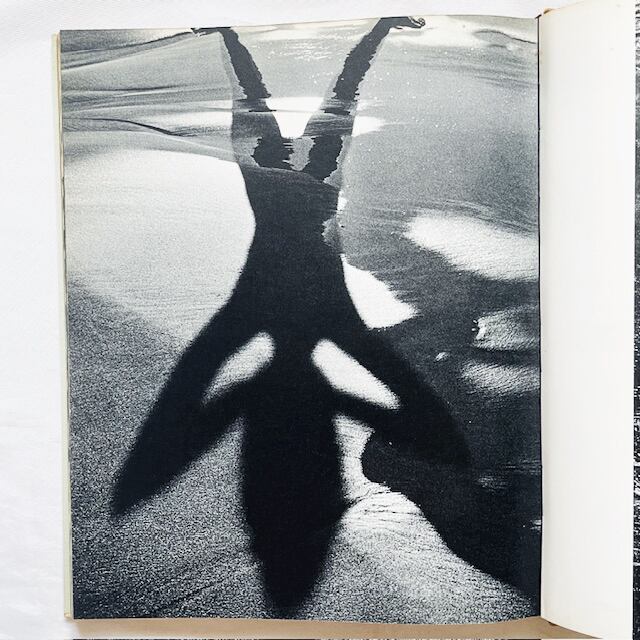 リュシアン・クレルグ写真集「Lucien Clergue: Née de la vague」/ 波から生まれ