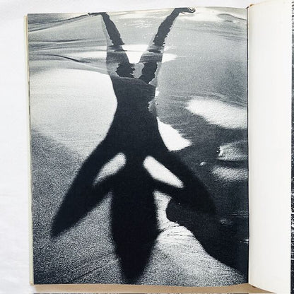 リュシアン・クレルグ写真集「Lucien Clergue: Née de la vague」/ 波から生まれ
