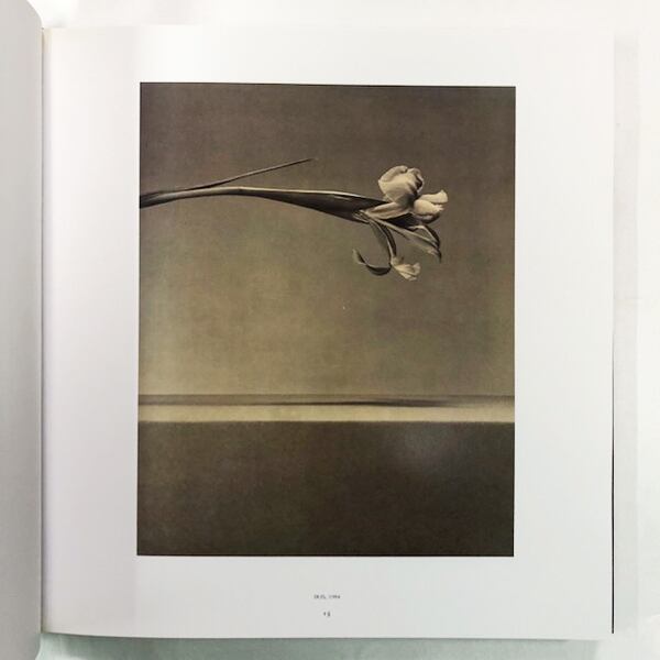 ロバート・メイプルソープ写真集「Robert Mapplethorpe: Pistils」