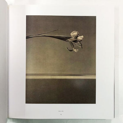 ロバート・メイプルソープ写真集「Robert Mapplethorpe: Pistils」