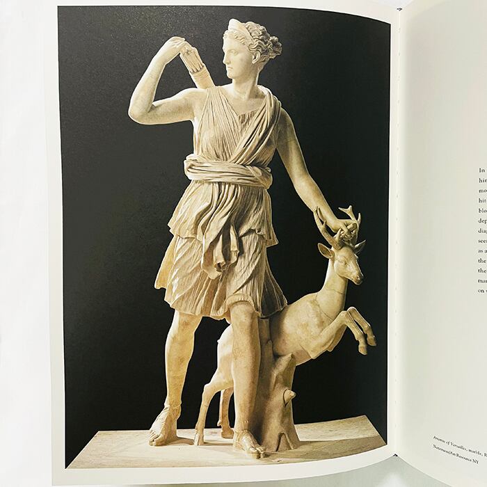 Goddess: The Classical Mode / 古典様式モードの変奏 / ﾒﾄﾛﾎﾟﾘﾀﾝ美術館