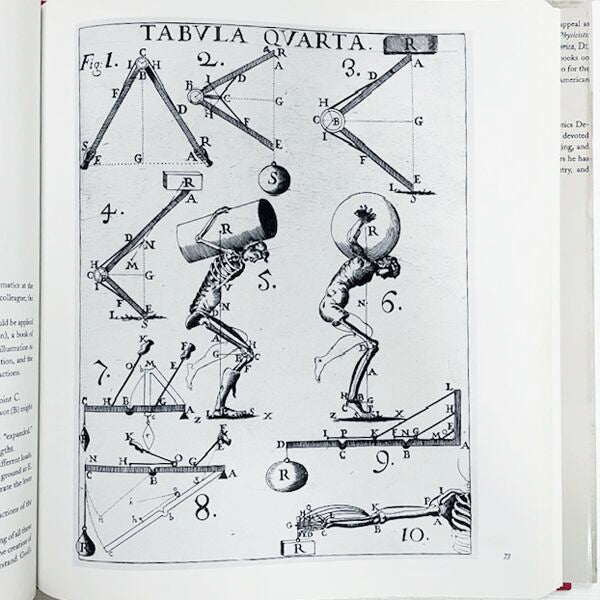 The Scientific Image: From Cave to Computer
