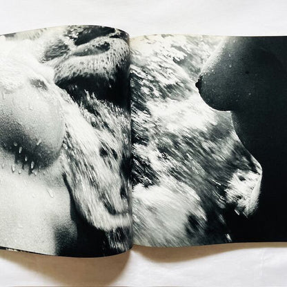 リュシアン・クレルグ写真集「Lucien Clergue: Née de la vague」/ 波から生まれ