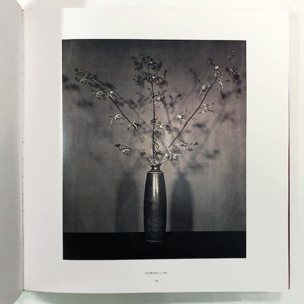 ロバート・メイプルソープ写真集「Robert Mapplethorpe: Pistils」