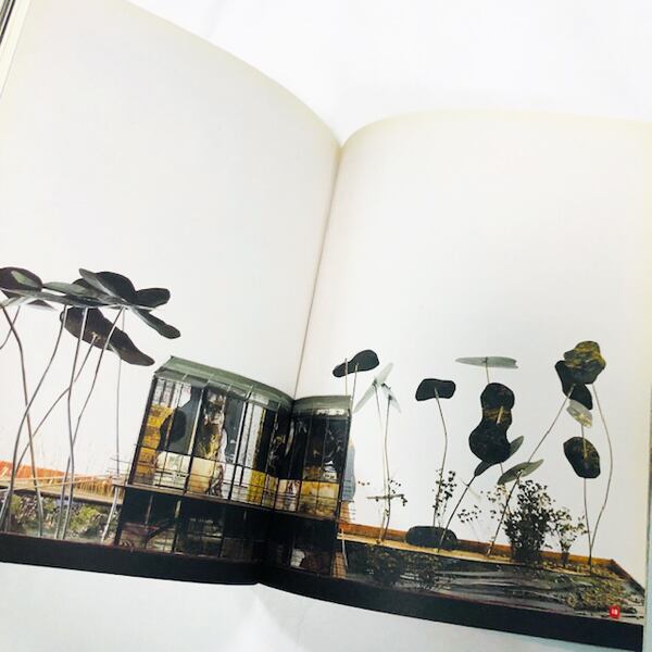 ﾌﾗﾝｼｽ･ｿﾚﾙ作品集「Francis Soler: Les anges de Christians Brygge et autres récits d'architecture」