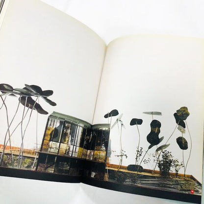 ﾌﾗﾝｼｽ･ｿﾚﾙ作品集「Francis Soler: Les anges de Christians Brygge et autres récits d'architecture」