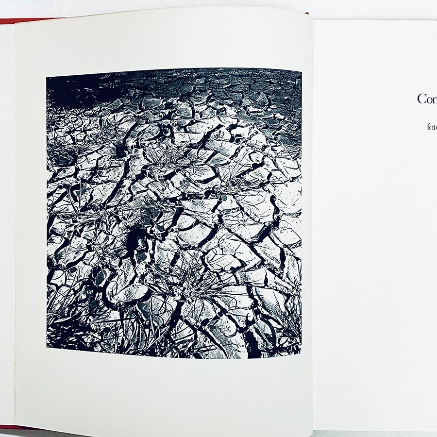 Conversazione in Sicilia / Elio Vittorini / Olivetti 1973年【非売品】