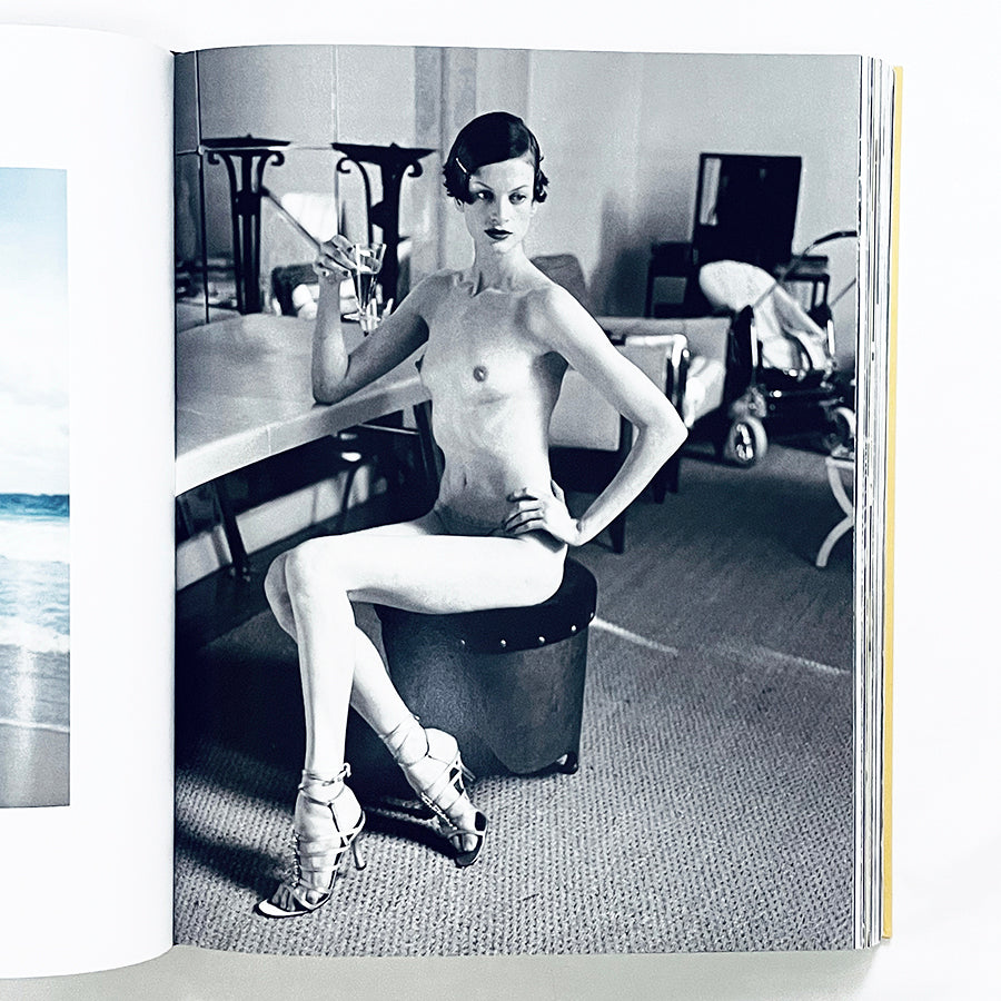 Arthur Elgort: The Big Picture / アーサー・エルゴートの包括的モノグラフ【大判本】