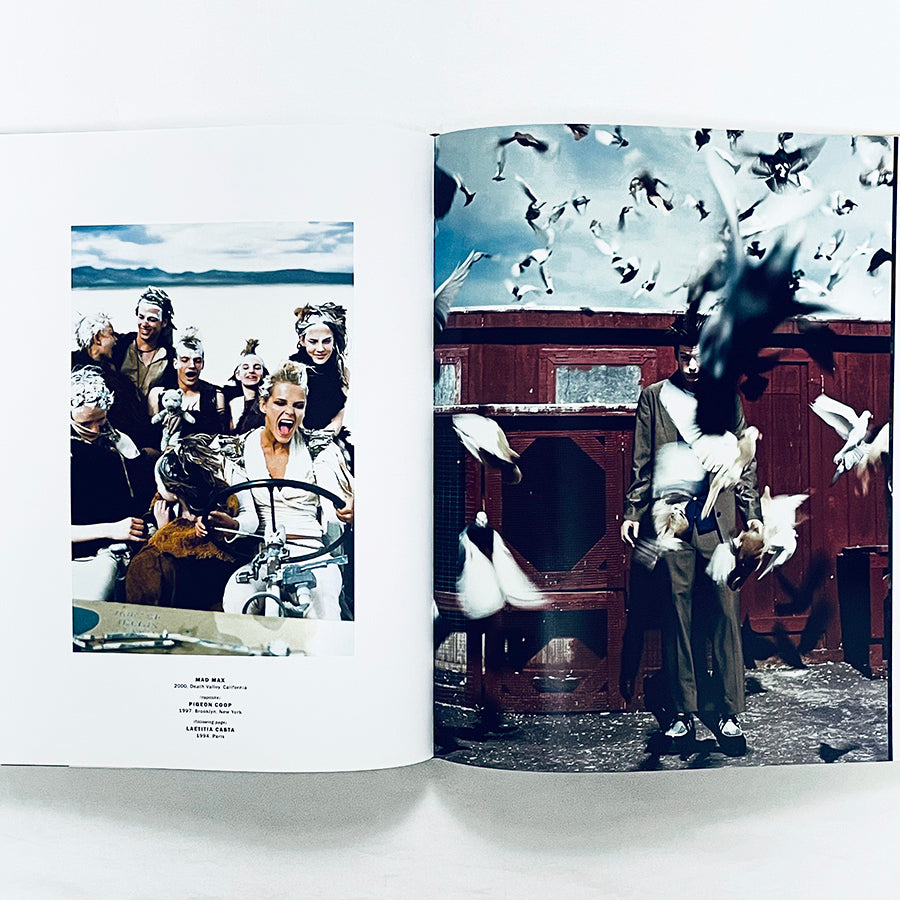 Arthur Elgort: The Big Picture / アーサー・エルゴートの包括的モノグラフ【大判本】