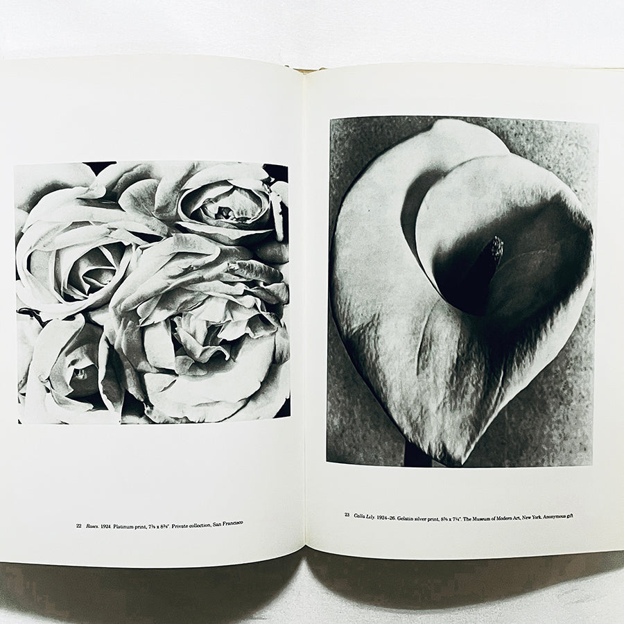 Tina Modotti: Photographs / ティナ・モドッティ写真集 / Sarah M. Lowe