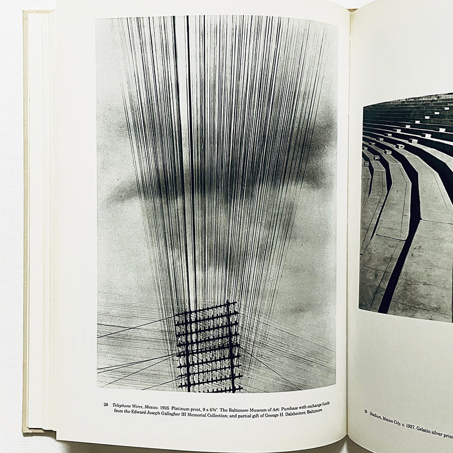 Tina Modotti: Photographs / ティナ・モドッティ写真集 / Sarah M. Lowe