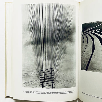 Tina Modotti: Photographs / ティナ・モドッティ写真集 / Sarah M. Lowe