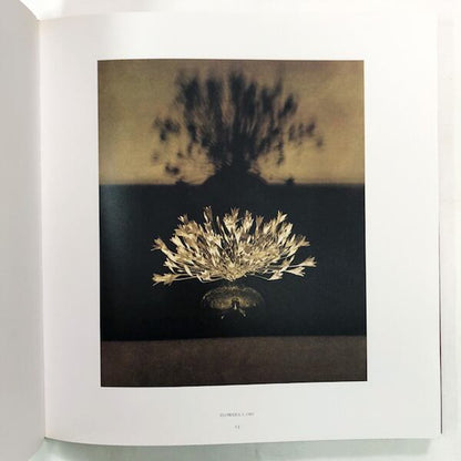 ロバート・メイプルソープ写真集「Robert Mapplethorpe: Pistils」