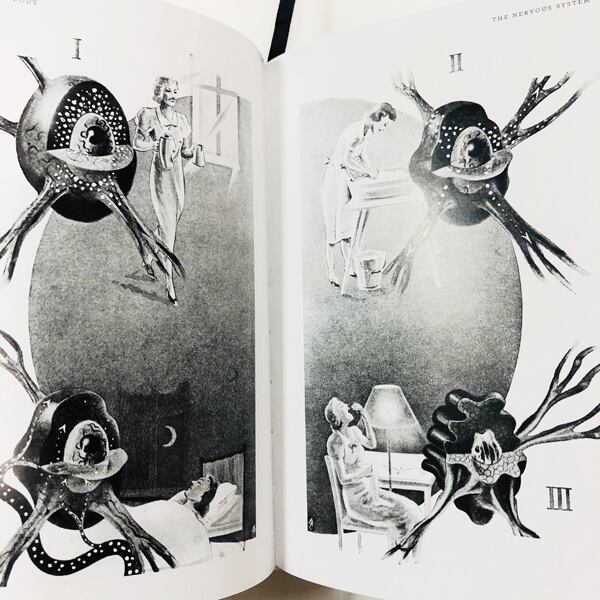【ｼｭﾘﾝｸ未開封新本】「Fritz Kahn: Infographics Pioneer」ﾌﾘｯﾂ･ｶｰﾝ:ｲﾝﾌｫｸﾞﾗﾌｨｯｸ