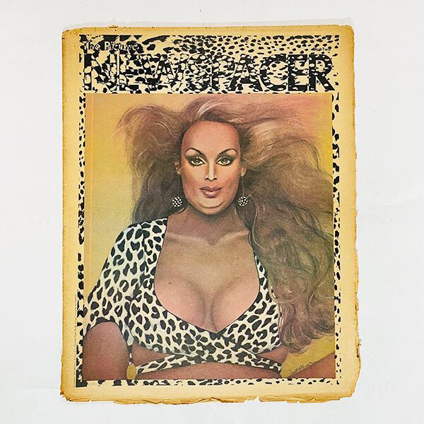 The Picture NEWSPAPER / Vol. 4 # 3 / 1975 Dec~1976 Jan