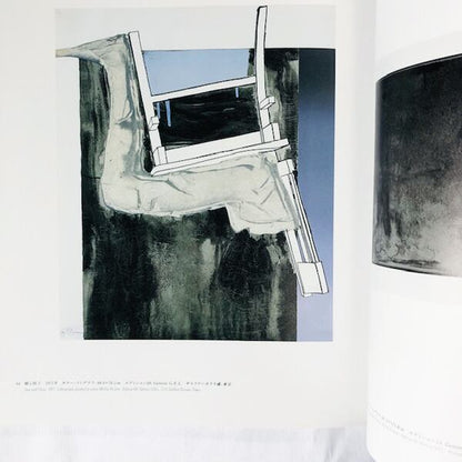 ジャスパー・ジョーンズ版画展【図録】