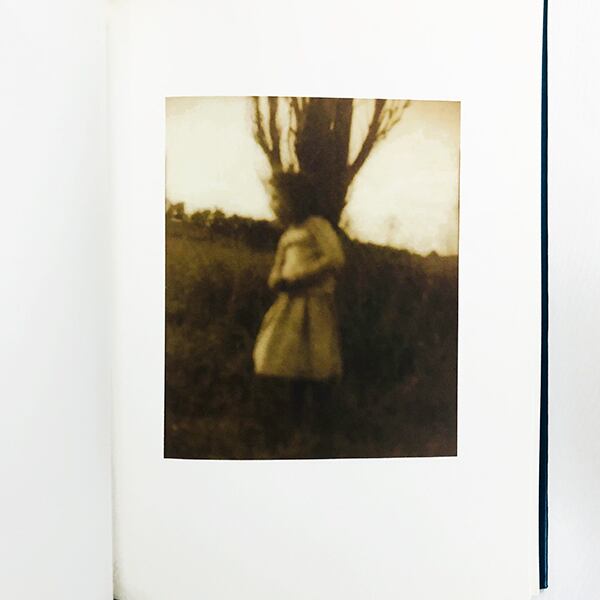 Sheila Metzner / Color シーラ・メツナー写真集