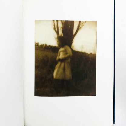 Sheila Metzner / Color シーラ・メツナー写真集