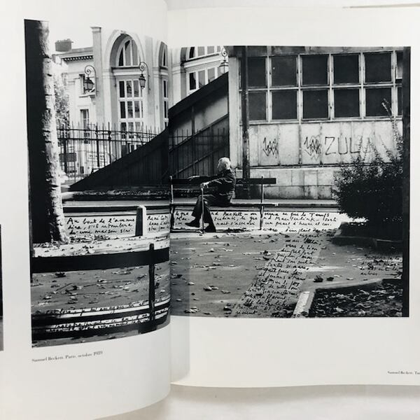 ﾌﾗﾝｿﾜ=ﾏﾘｰ･ﾊﾞﾆｴ写真集「François- Marie Banier」