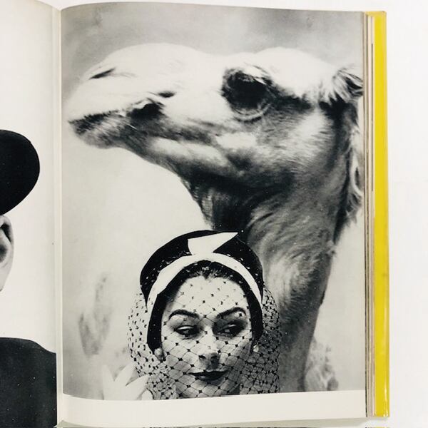 The Picture Universe: U.S. Camera 1961 / USカメラ年鑑・1961
