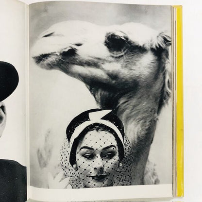 The Picture Universe: U.S. Camera 1961 / USカメラ年鑑・1961
