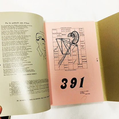 ピカビア展【図録】＋雑誌「391」縮刷版 / フランシス・ピカビア / 1999