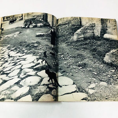 阿部徹雄 写真集『藝術の都』1956年刊