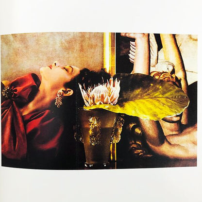 Sheila Metzner / Color シーラ・メツナー写真集