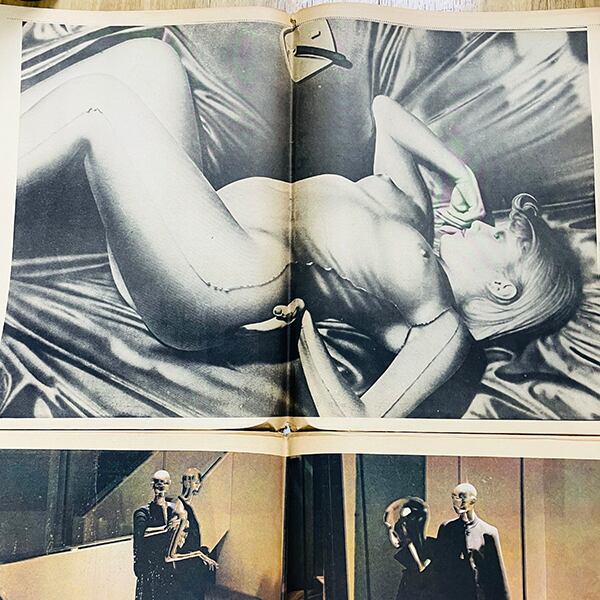 The Picture NEWSPAPER / Vol. 4 # 3 / 1975 Dec~1976 Jan