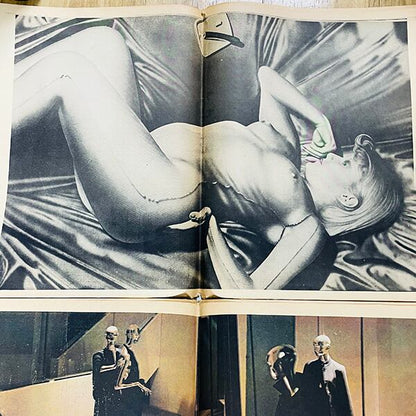 The Picture NEWSPAPER / Vol. 4 # 3 / 1975 Dec~1976 Jan